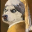 Husky Brother