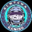 NEWTOWNGAMING logo