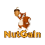 NUTGAIN logo