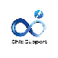Child Support logo