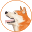 Hachi logo