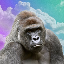 Harambe on Solana logo