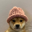 dogwifhat (ETH) logo