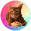 Catwifhat logo