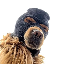 SKI MASK DOG logo