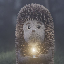 Hedgehog in the fog logo