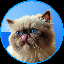 Mister Miggles logo