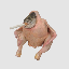 Smoking Chicken Fish logo
