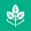ReFi Protocol logo