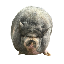 NikePig logo