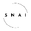 SwarmNode.ai logo