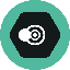 SNPIT logo