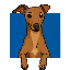 Cosmo logo