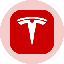 Tesla Tokenized Stock (Ondo) logo