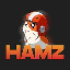 HAMZ logo