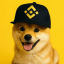 PUP logo