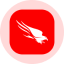 CrowdStrike Holdings Inc (Derivatives) logo