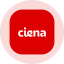 Ciena (Ondo Tokenized) logo
