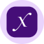 Direxion Daily Semi Bull 3X ETF (Ondo Tokenized) logo