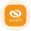 Quanta Services (Ondo Tokenized) logo