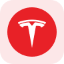 Tesla Tokenized Stock (Reality) logo