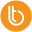 Bitcoin TRC20 logo