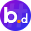 BNSD Finance logo