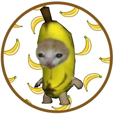 BananaCat logo