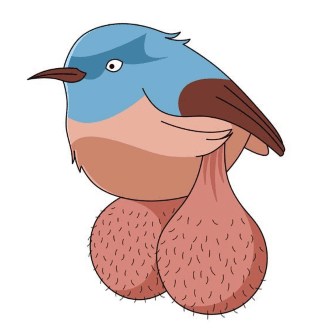 BIG BALLS BIRDS logo