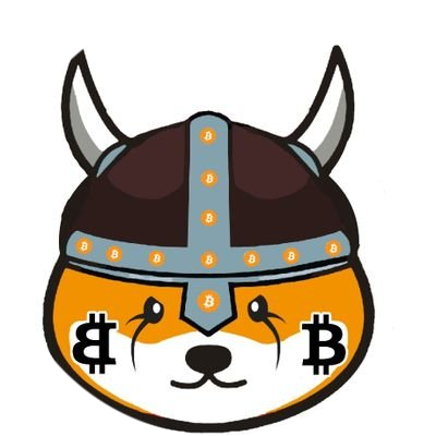 bitFloki logo