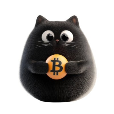 Bitcat logo