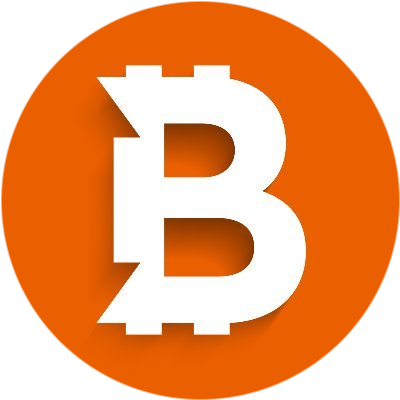 Bitcicoin logo