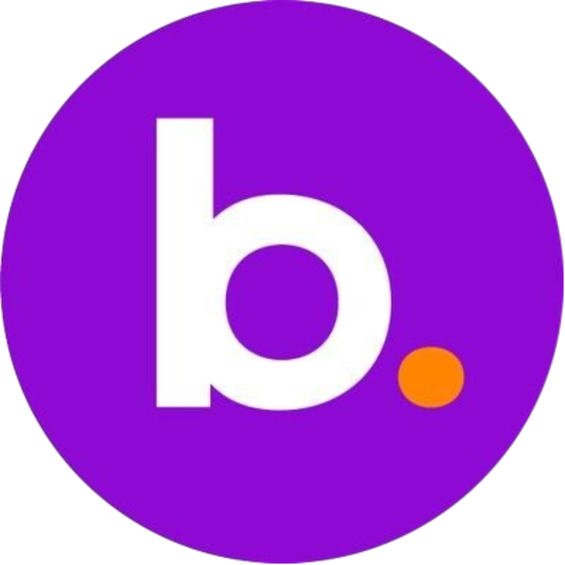BNS logo