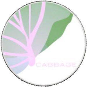 Cabbage logo