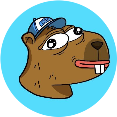 Capminal by Virtuals logo