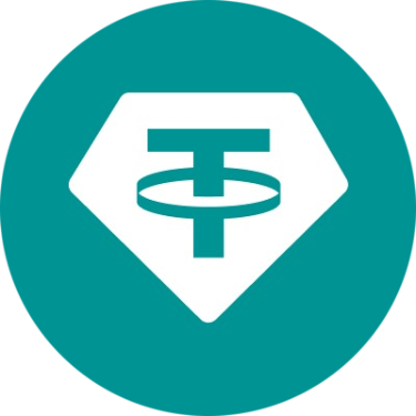 Euro Tether logo