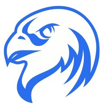 Falconswap logo