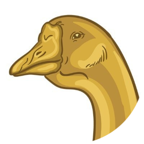 Goose Finance logo