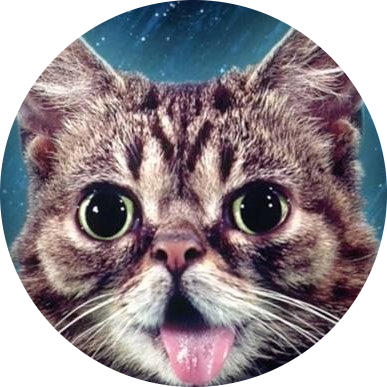 Lil Bub logo