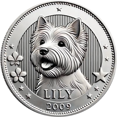 Lily's Coin logo