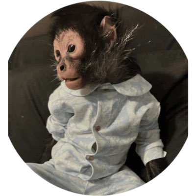 Monkey Taken By Police logo