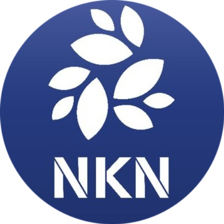 NKN logo