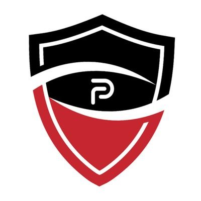 Privago AI logo