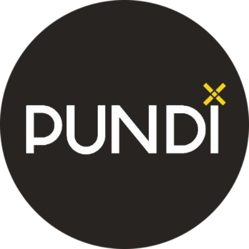 Pundi X logo