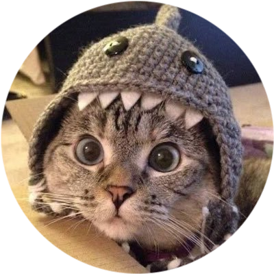 Shark Cat logo