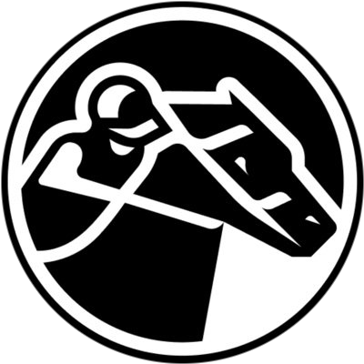 zkRace logo